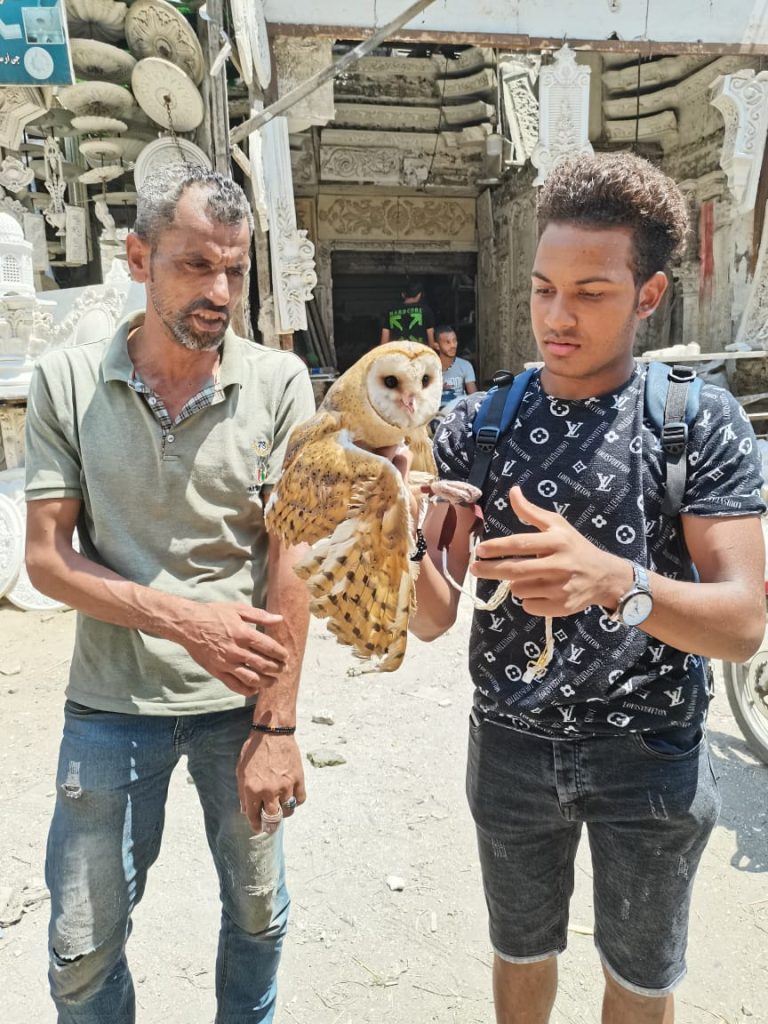 سوق الحيوانات السيدة عيشة